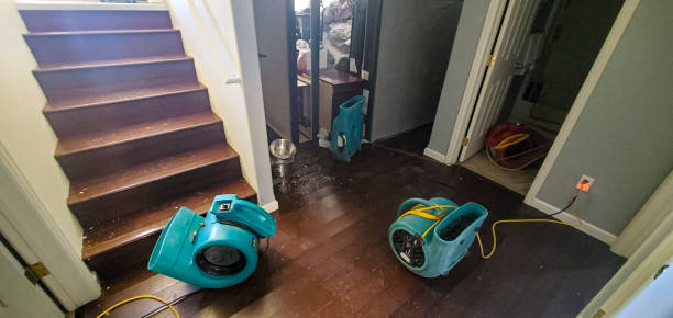 Best Professional water damage repair  in Midland Park, NJ
