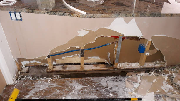 Best 24-hour water damage restoration  in Midland Park, NJ