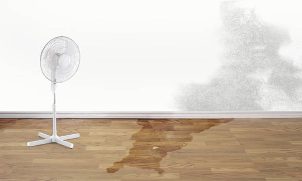Best Water damage restoration near me  in Midland Park, NJ