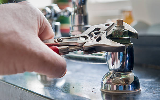 Best Mold removal after water damage  in Midland Park, NJ