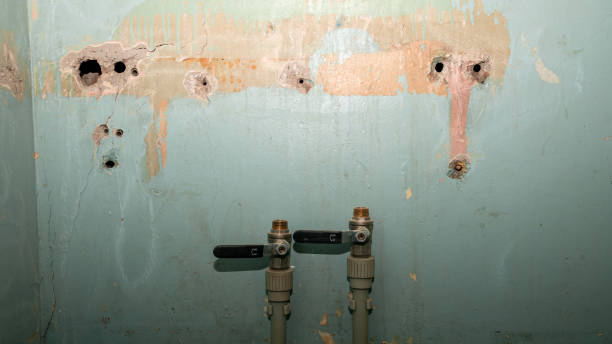 Best 24/7 water damage repair  in Midland Park, NJ