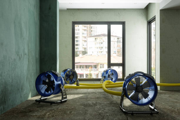 Best Water damage restoration near me  in Midland Park, NJ