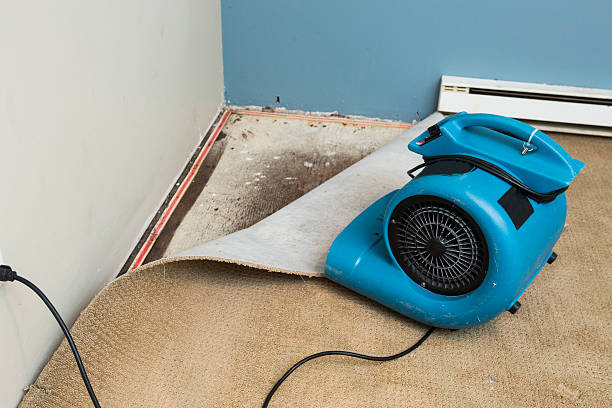 Best Water damage repair service  in Midland Park, NJ